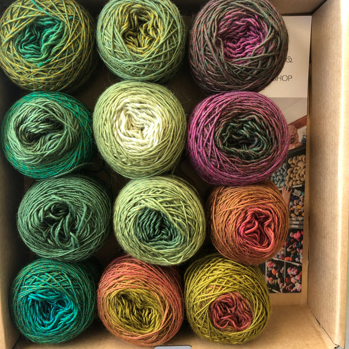 Special  - Convent 4ply Gradient Stashies