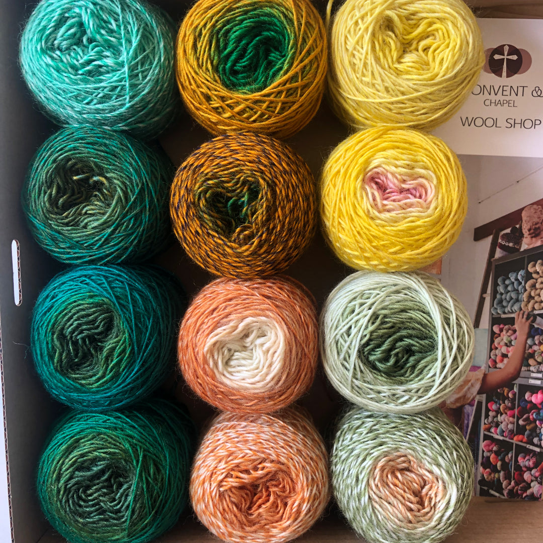 Special  - Convent 4ply Gradient Stashies