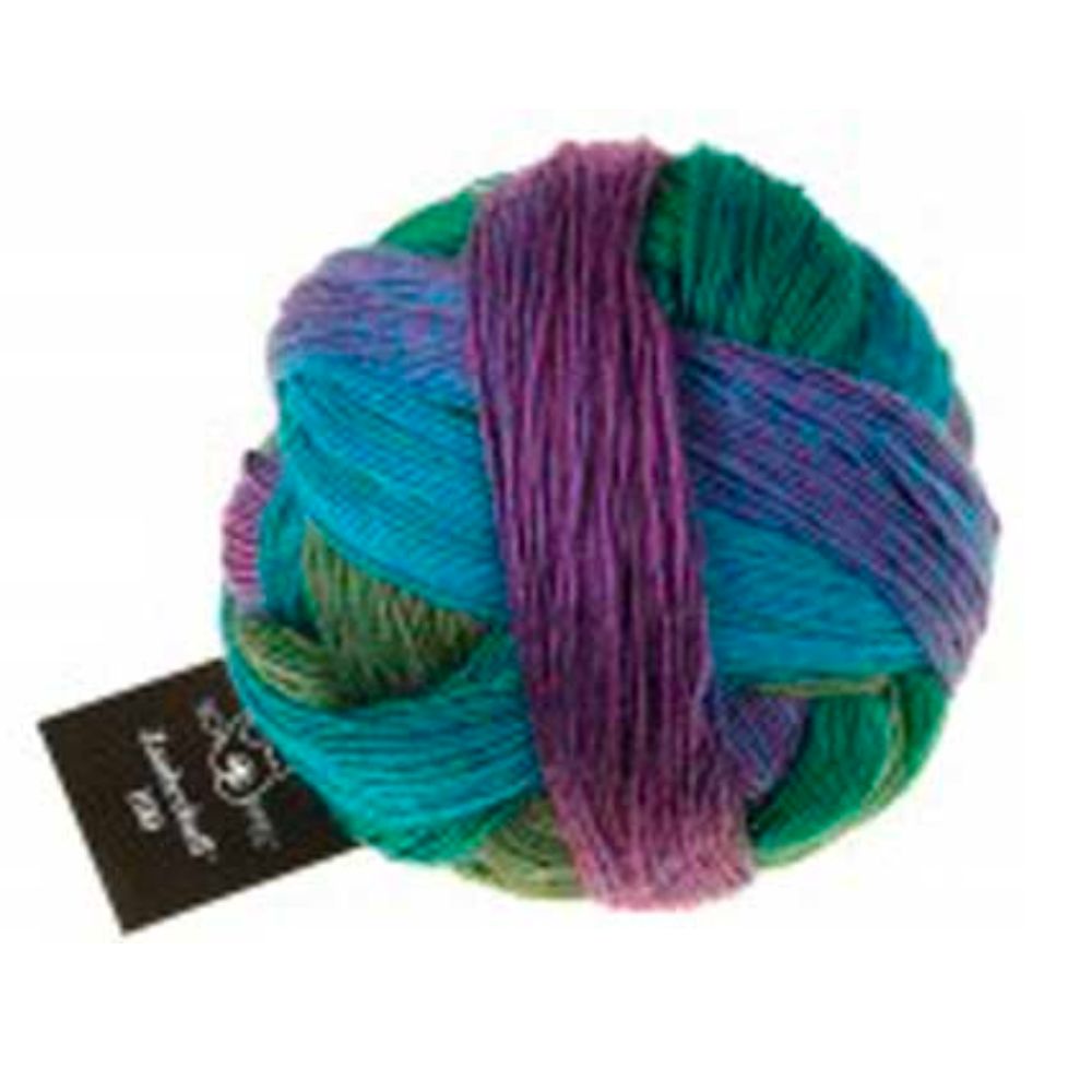 Zauberball 100 4 Ply