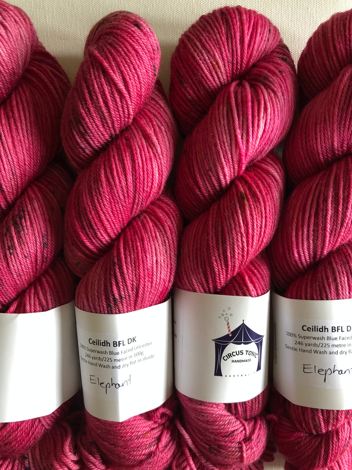 Circus Tonic Ceilidh BFL DK