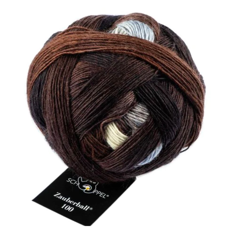 Zauberball 100 4 Ply