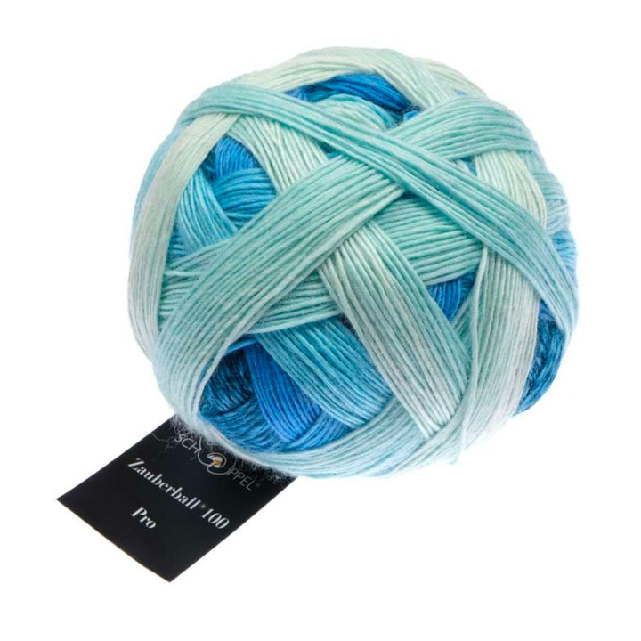 Zauberball 100 4 Ply