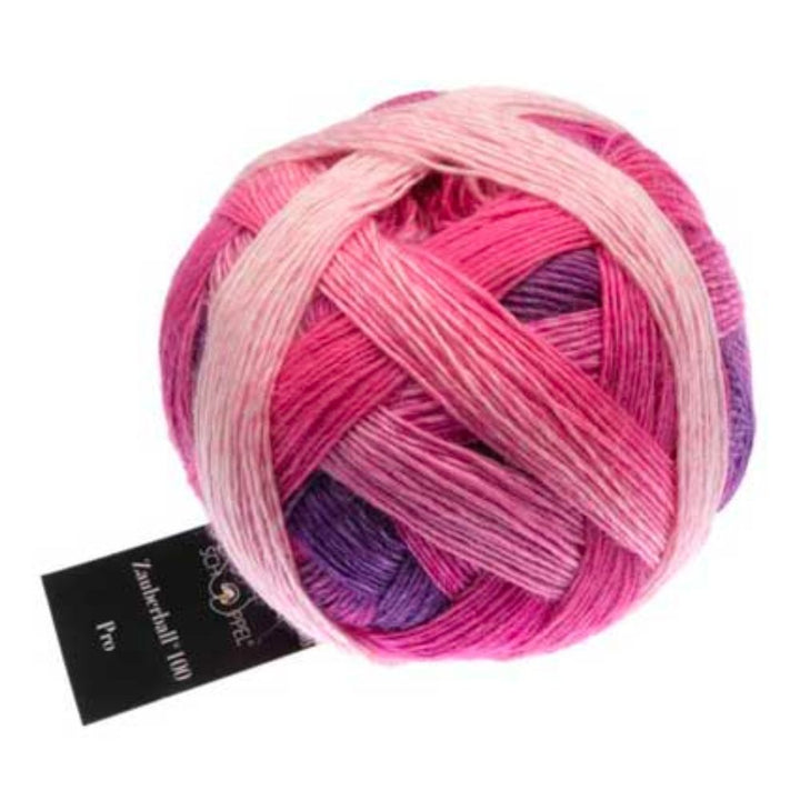 Zauberball 100 4 Ply