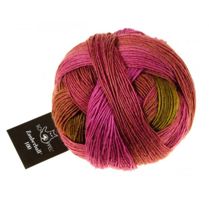 Zauberball 100 4 Ply